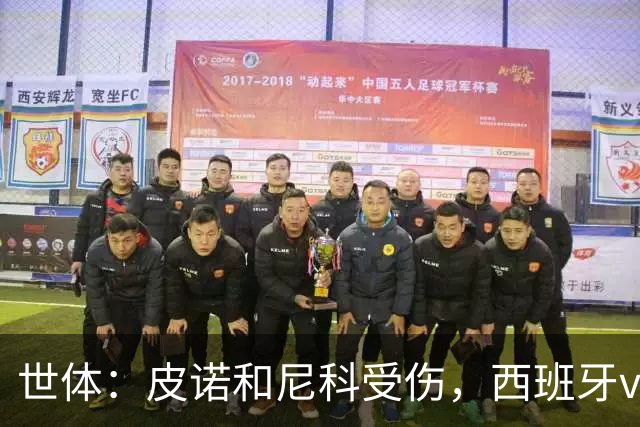 世体：皮诺和尼科受伤，西班牙vs奥地利时加维有望获得出场机会